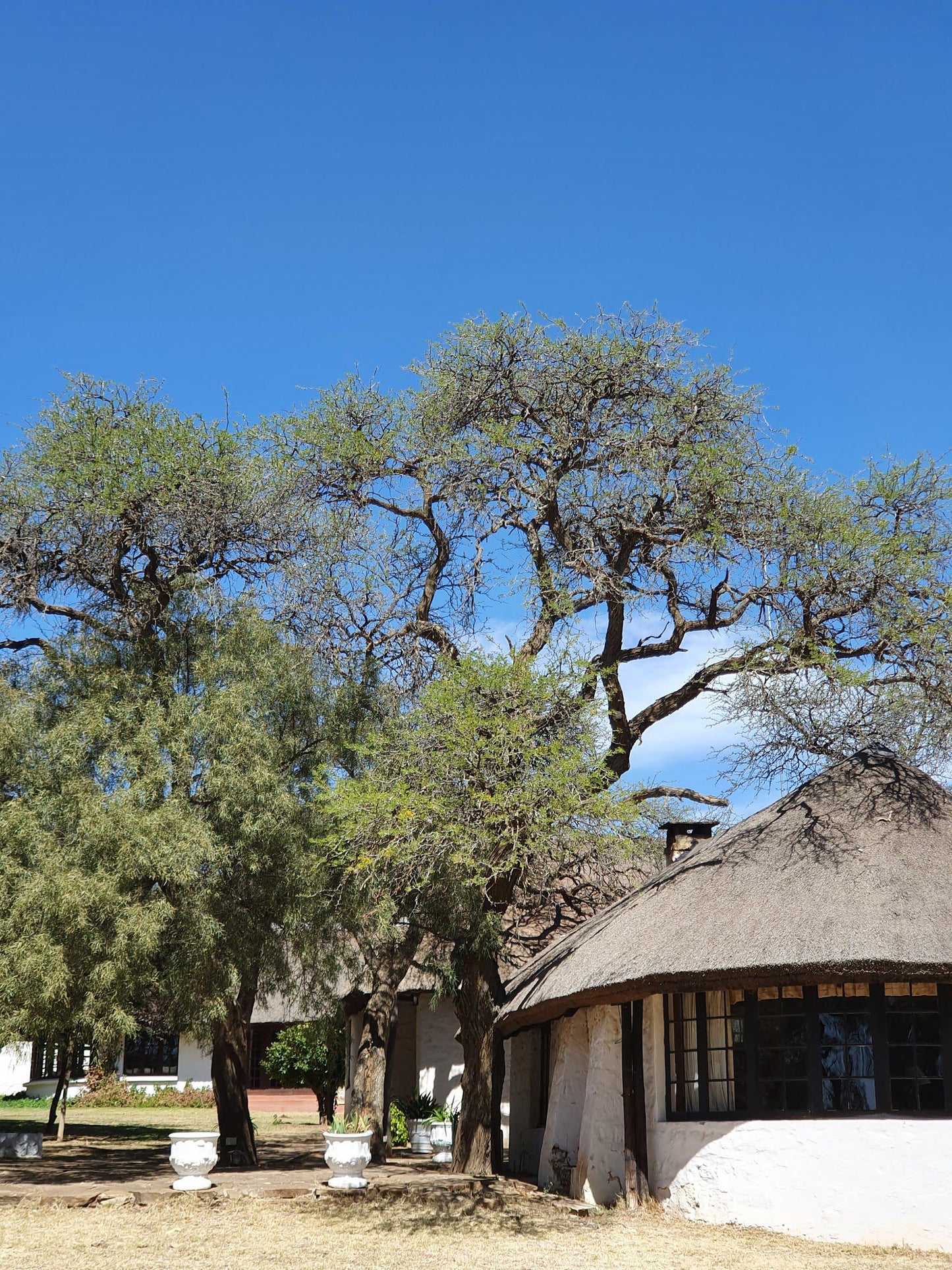 Lindbergh Lodge Wolmaransstad North West Province South Africa 