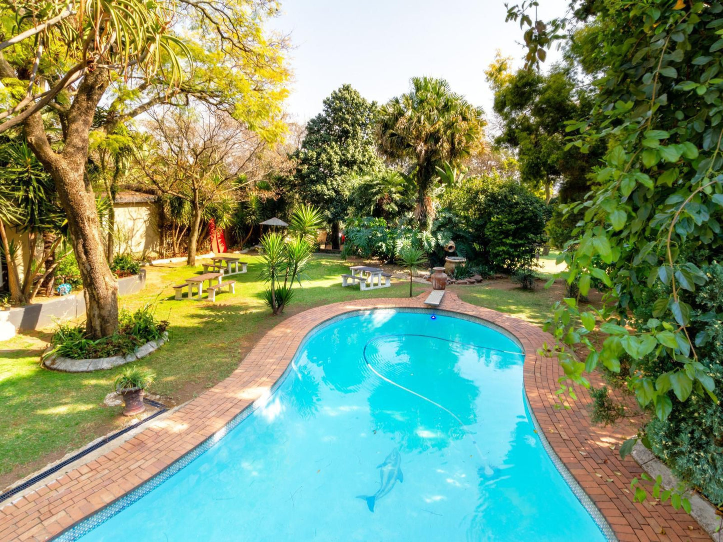 Linden Guesthouse Linden Johannesburg Gauteng South Africa Complementary Colors, Garden, Nature, Plant, Swimming Pool