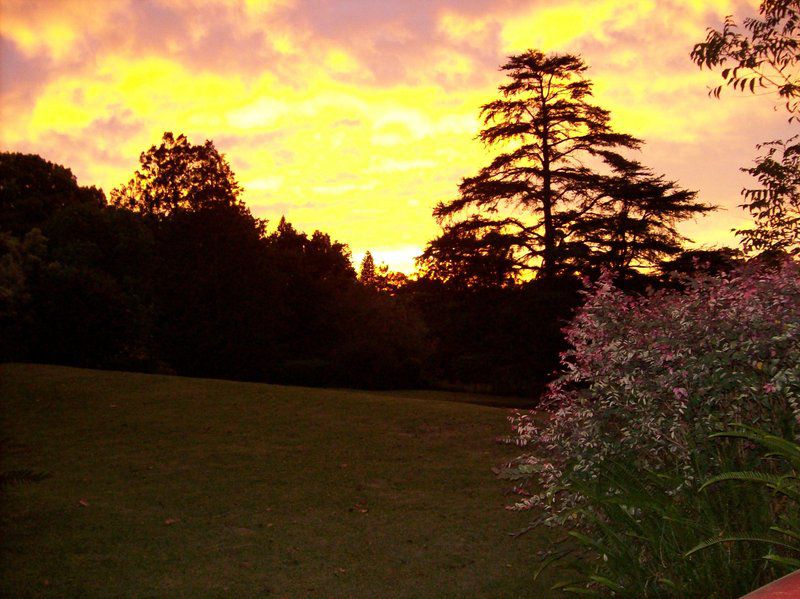 Lindisfarne B And B Bothas Hill Durban Kwazulu Natal South Africa Colorful, Sky, Nature, Tree, Plant, Wood, Sunset