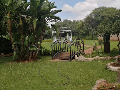 Lindleyspoort Guesthouse, Palm Tree, Plant, Nature, Wood, Garden