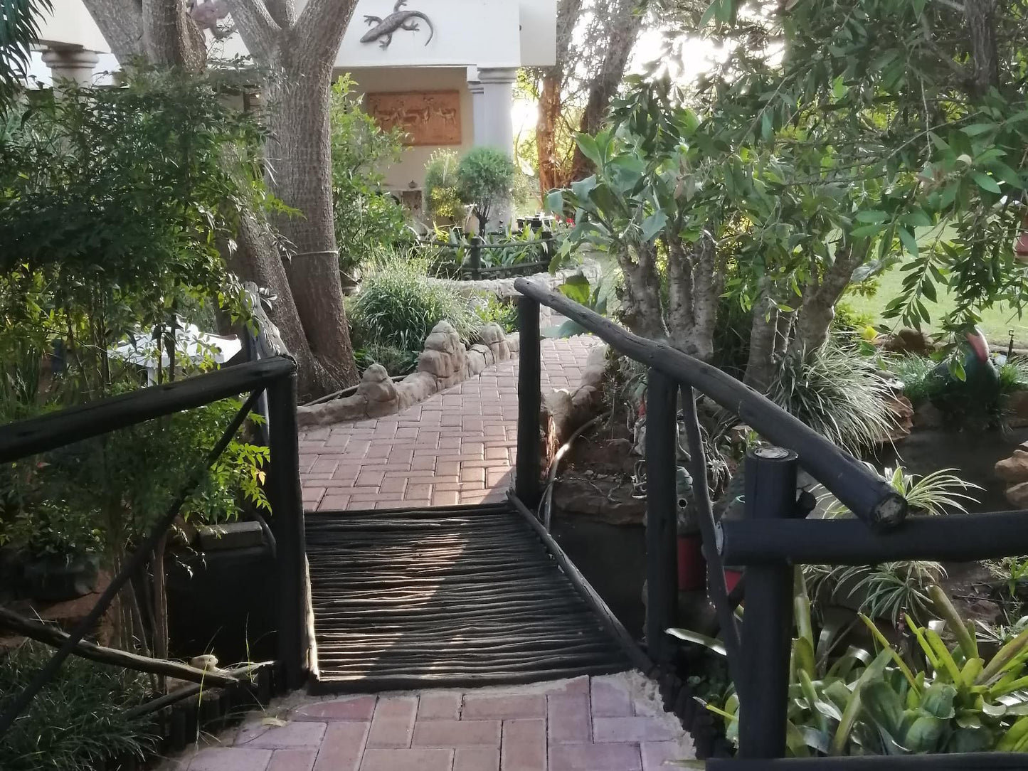 Lindleyspoort Guesthouse, Palm Tree, Plant, Nature, Wood, Stairs, Architecture, Garden