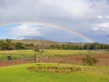 Linduli Lodge Cradock Eastern Cape South Africa Complementary Colors, Rainbow, Nature