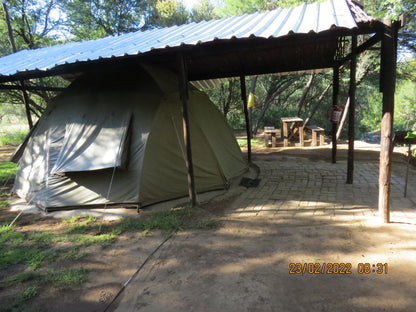 Peperboom Tent @ Linduli Lodge