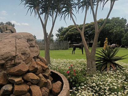 Linglela Lodge Estcourt Kwazulu Natal South Africa Animal