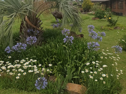 Linglela Lodge Estcourt Kwazulu Natal South Africa Flower, Plant, Nature, Garden