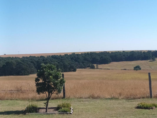 Linglela Lodge Estcourt Kwazulu Natal South Africa Complementary Colors, Field, Nature, Agriculture, Tree, Plant, Wood, Lowland