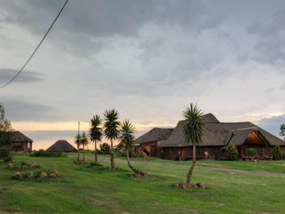 Linglela Lodge Estcourt Kwazulu Natal South Africa Palm Tree, Plant, Nature, Wood