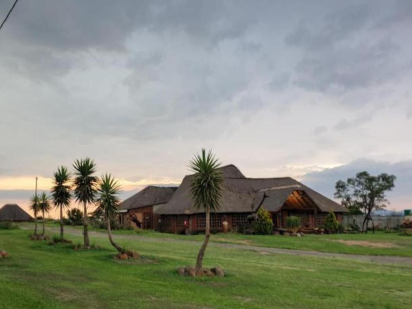 Linglela Lodge Estcourt Kwazulu Natal South Africa Palm Tree, Plant, Nature, Wood