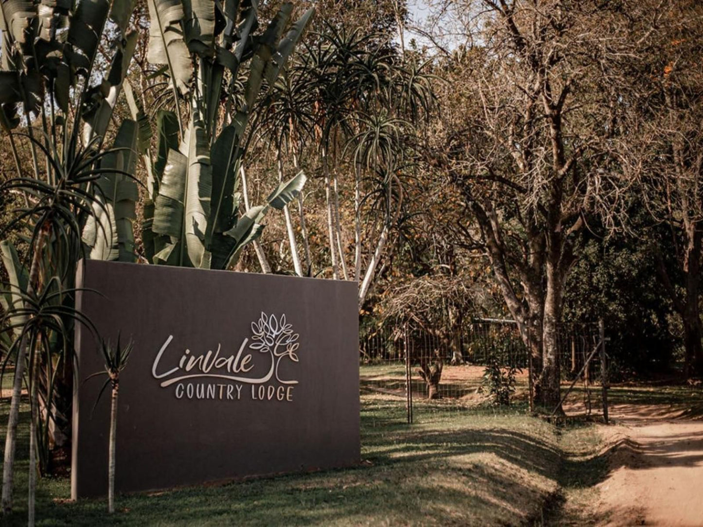 Linvale Country Lodge Hazyview Mpumalanga South Africa Plant, Nature, Cemetery, Religion, Grave