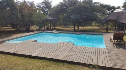 Lion And Cheetah Sanctuary Dinokeng Game Reserve Gauteng South Africa Swimming Pool