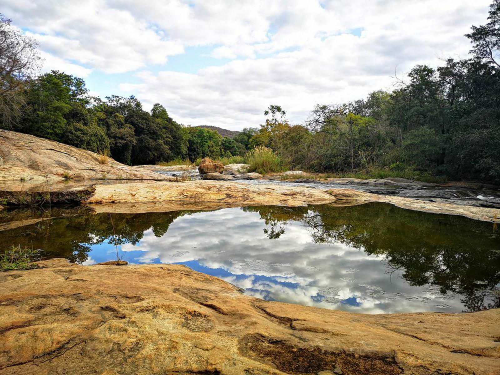 Lions Rock Rapids Hazyview Mpumalanga South Africa River, Nature, Waters, Tree, Plant, Wood