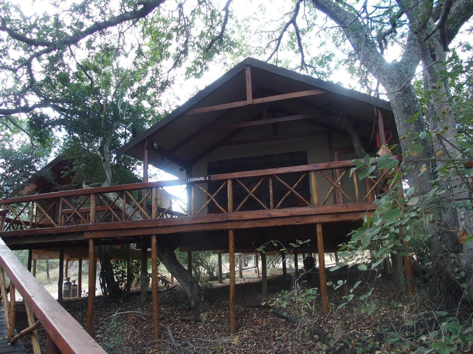 Lion Tree Top Lodge Acornhoek Mpumalanga South Africa 