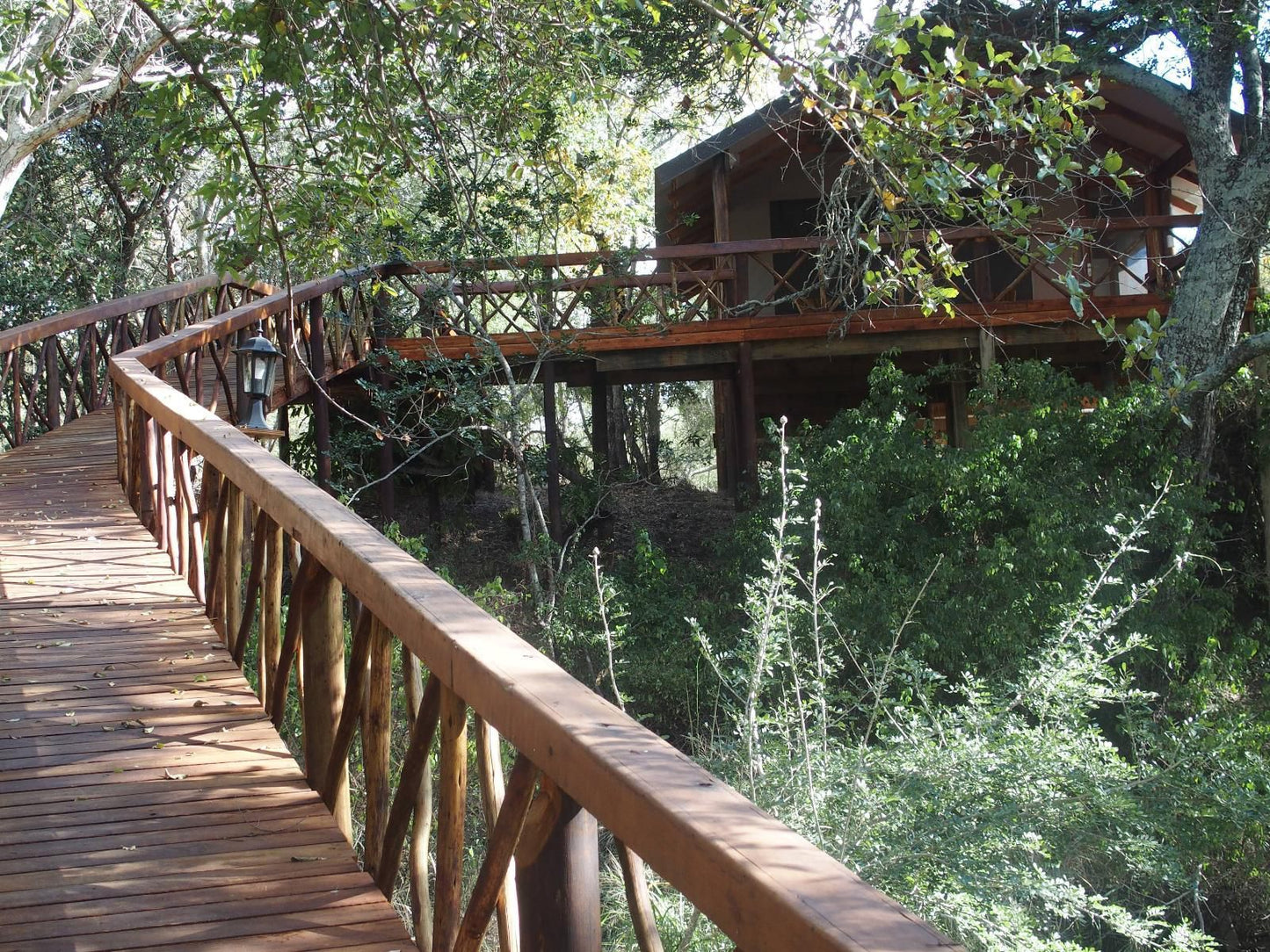 Lion Tree Top Lodge Acornhoek Mpumalanga South Africa Bridge, Architecture