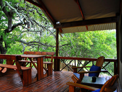 Lion Tree Top Lodge Acornhoek Mpumalanga South Africa 