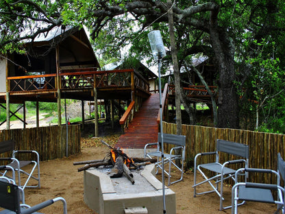 Lion Tree Top Lodge Acornhoek Mpumalanga South Africa 