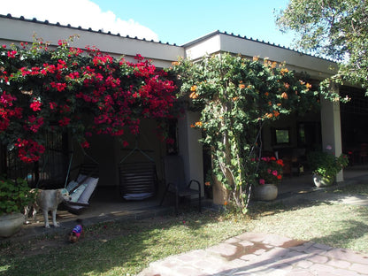 Lion Tree Top Lodge Acornhoek Mpumalanga South Africa House, Building, Architecture, Plant, Nature