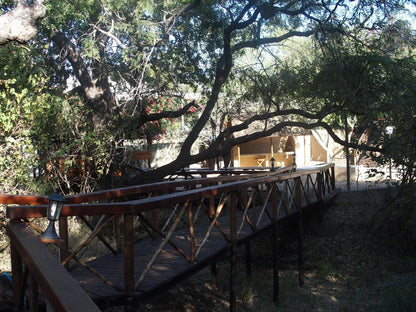 Lion Tree Top Lodge Acornhoek Mpumalanga South Africa Bridge, Architecture, Plant, Nature