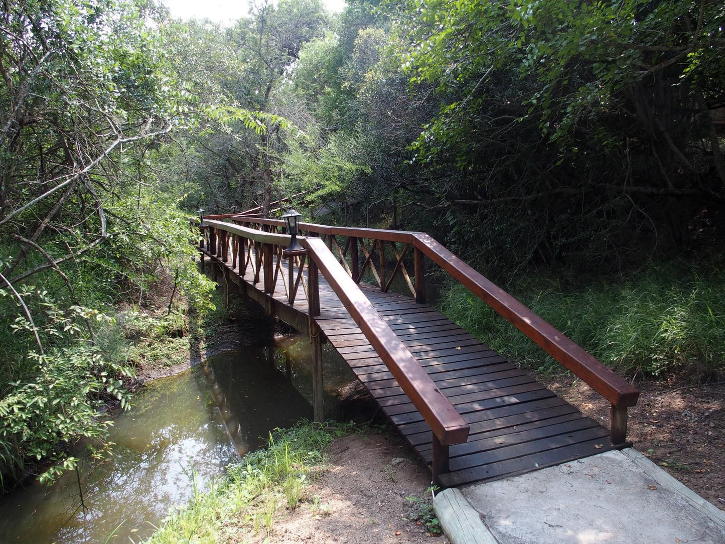 Lion Tree Top Lodge Acornhoek Mpumalanga South Africa Bridge, Architecture, Forest, Nature, Plant, Tree, Wood, River, Waters, Leading Lines