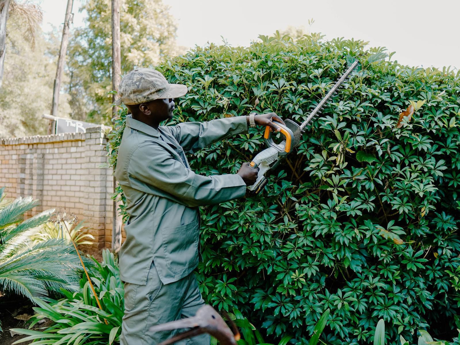 Lion'S Guesthouse And The Buck&Lion Restaurant, Plant, Nature, Garden, Person