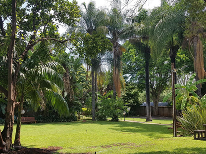 Lion'S Guesthouse And The Buck&Lion Restaurant, Palm Tree, Plant, Nature, Wood, Tree