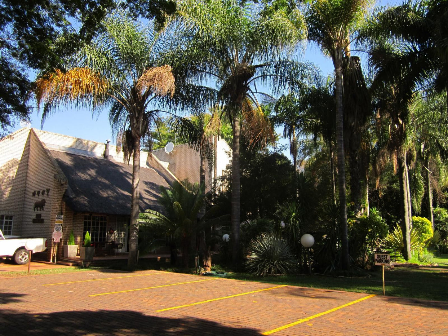 Lion'S Guesthouse And The Buck&Lion Restaurant, Palm Tree, Plant, Nature, Wood