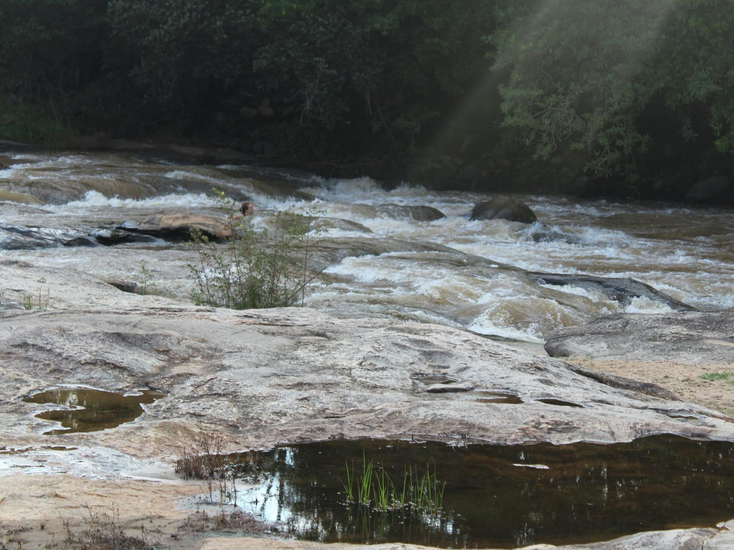 Lions Rock Rapids Lodge And Luxury Tented Camp, River, Nature, Waters, Tree, Plant, Wood, Waterfall