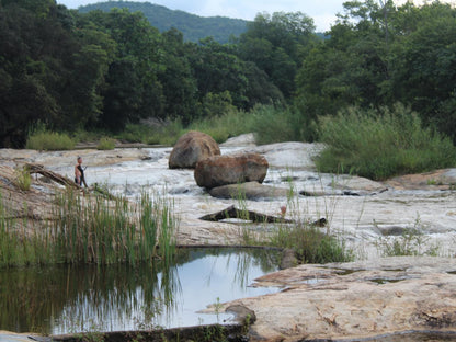 Lions Rock Rapids Lodge And Luxury Tented Camp, River, Nature, Waters, Tree, Plant, Wood