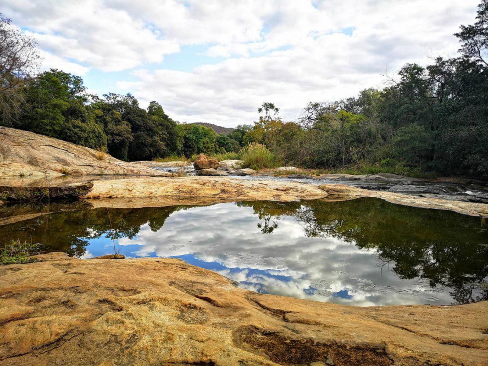 Lions Rock Rapids Lodge And Luxury Tented Camp, River, Nature, Waters, Tree, Plant, Wood