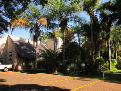 Lion S Guesthouse Groblersdal Mpumalanga South Africa Palm Tree, Plant, Nature, Wood