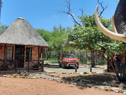 Lion S Lair Marloth Park Mpumalanga South Africa Complementary Colors