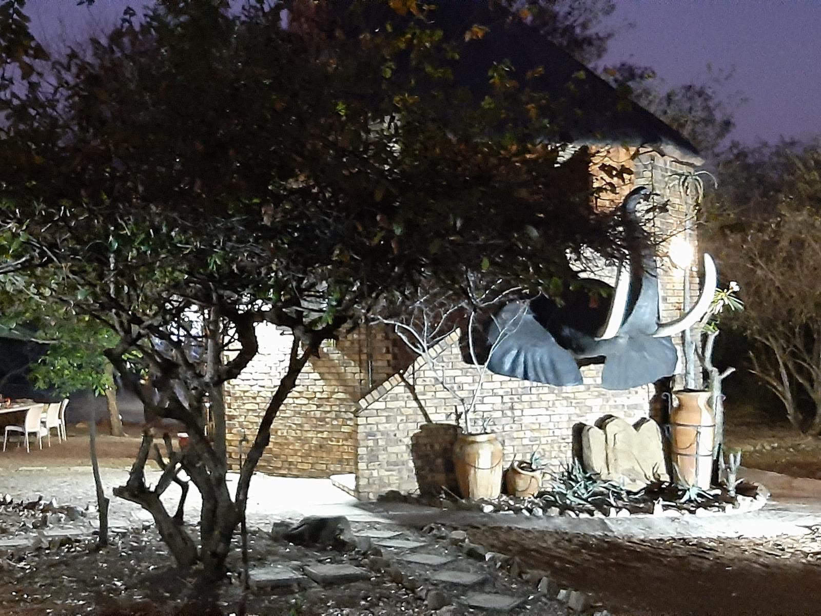 Lion S Lair Marloth Park Mpumalanga South Africa 