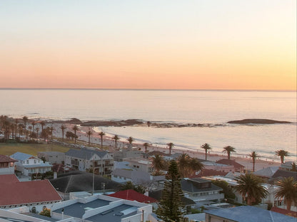 Lion S View Camps Bay Cape Town Western Cape South Africa Beach, Nature, Sand, Palm Tree, Plant, Wood