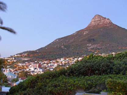 Lion S View Camps Bay Cape Town Western Cape South Africa Nature
