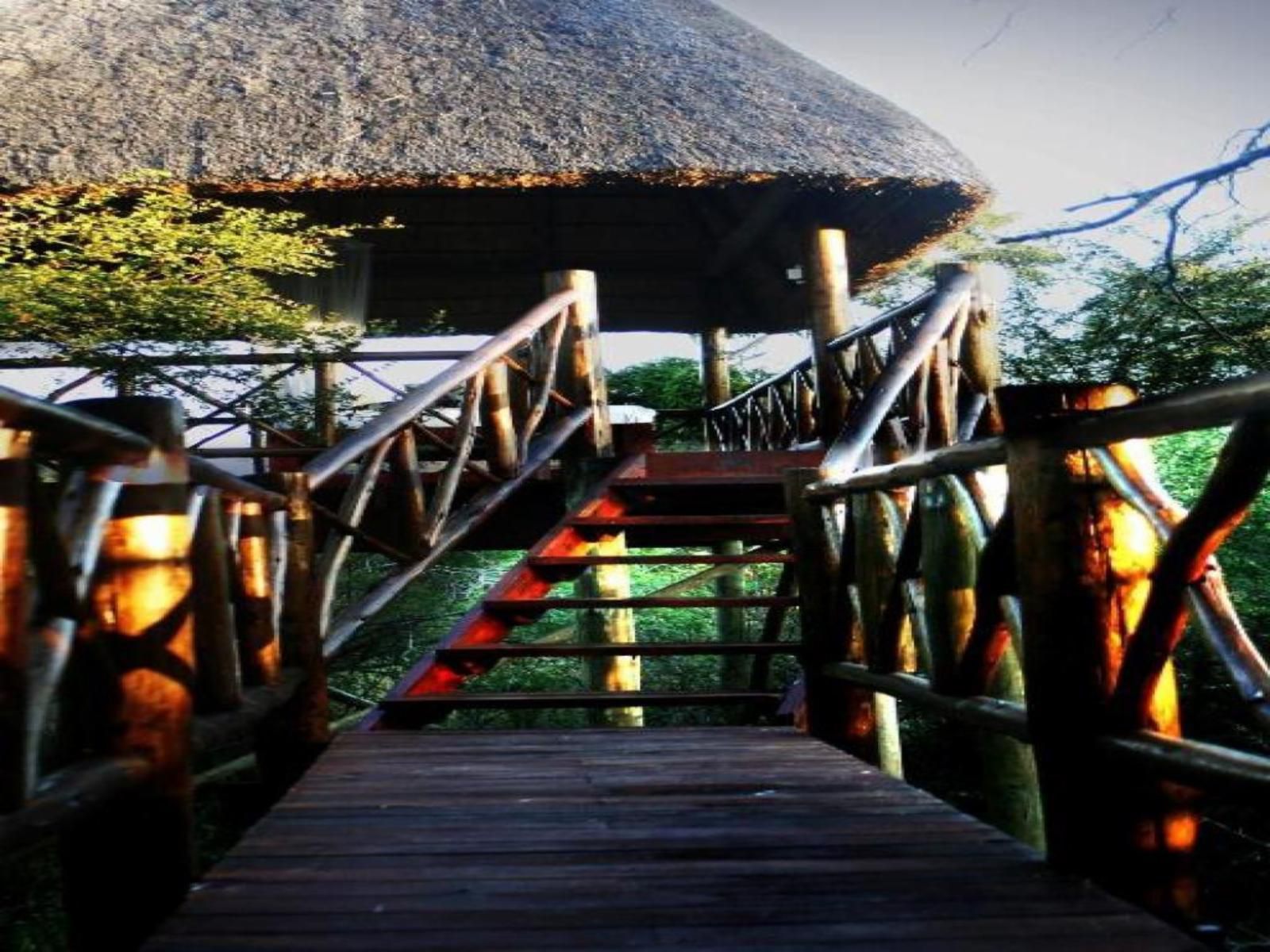 Lion Tree Bush Lodge Marloth Park Mpumalanga South Africa 