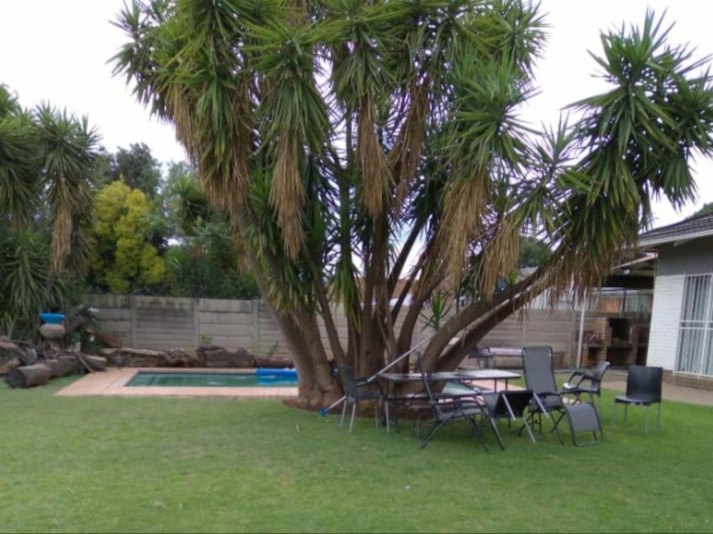 Lior-Gil Accommodation, Palm Tree, Plant, Nature, Wood, Garden