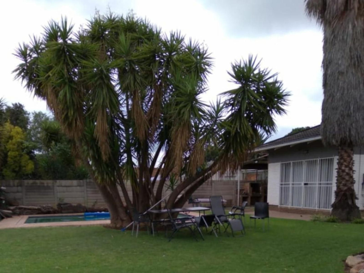 Lior Gil Accomodation Kempton Park Johannesburg Gauteng South Africa House, Building, Architecture, Palm Tree, Plant, Nature, Wood