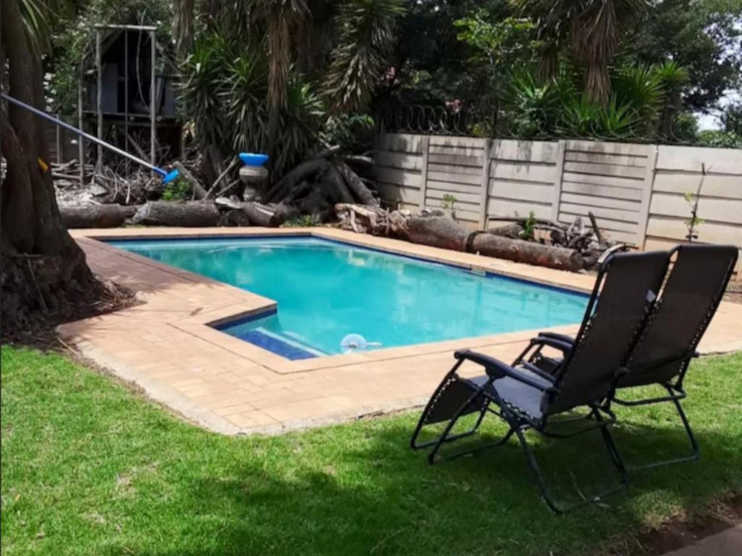 Lior Gil Accomodation Kempton Park Johannesburg Gauteng South Africa Palm Tree, Plant, Nature, Wood, Garden, Swimming Pool