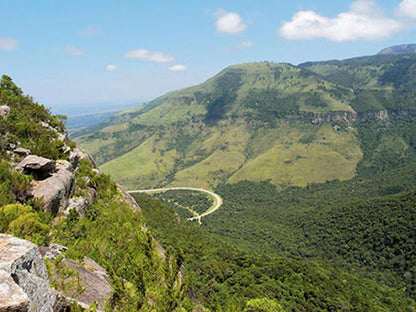 Liquid Amber Hogsback Eastern Cape South Africa Complementary Colors, Mountain, Nature, Tree, Plant, Wood, Highland