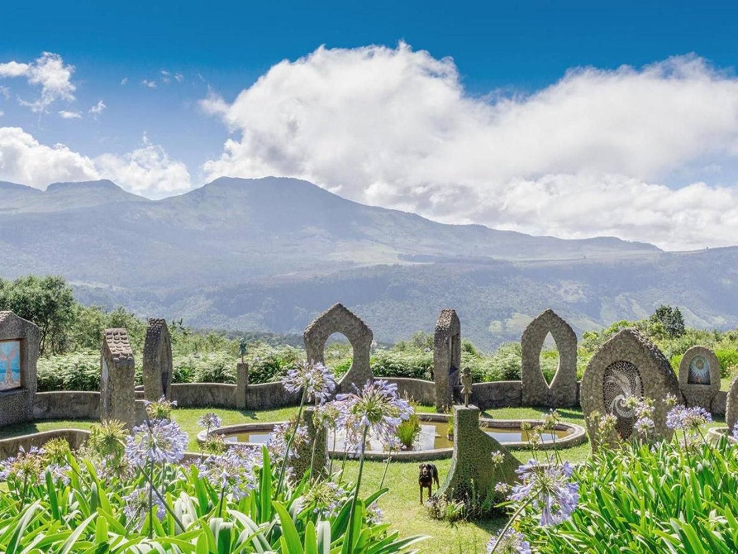 Liquid Amber Hogsback Eastern Cape South Africa Complementary Colors, Mountain, Nature, Cemetery, Religion, Grave, Highland