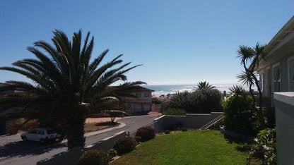 Listen To The Waves Melkbosstrand Cape Town Western Cape South Africa Beach, Nature, Sand, Palm Tree, Plant, Wood, Framing, Ocean, Waters