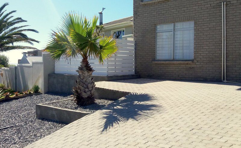 Listen To The Waves Melkbosstrand Cape Town Western Cape South Africa Palm Tree, Plant, Nature, Wood