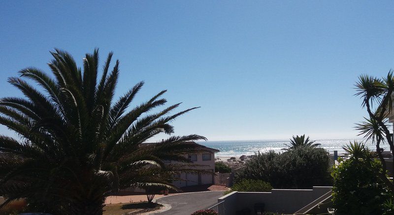 Listen To The Waves Melkbosstrand Cape Town Western Cape South Africa Beach, Nature, Sand, Palm Tree, Plant, Wood