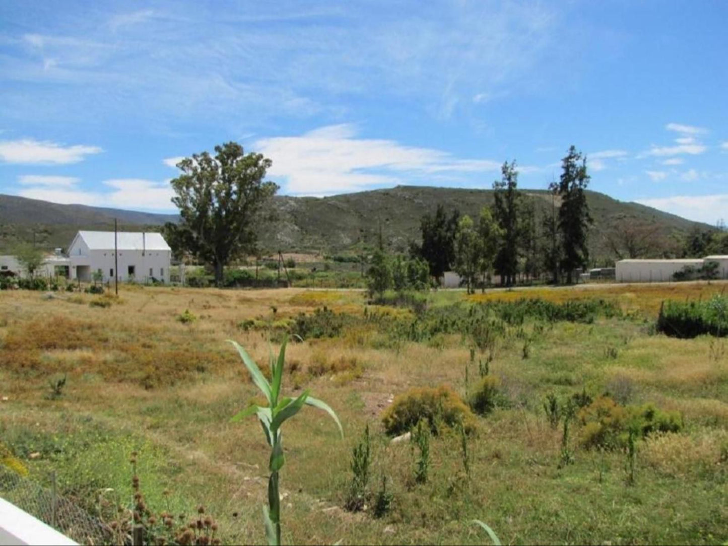 Little 13 Mill Street Mcgregor Western Cape South Africa Complementary Colors, Field, Nature, Agriculture