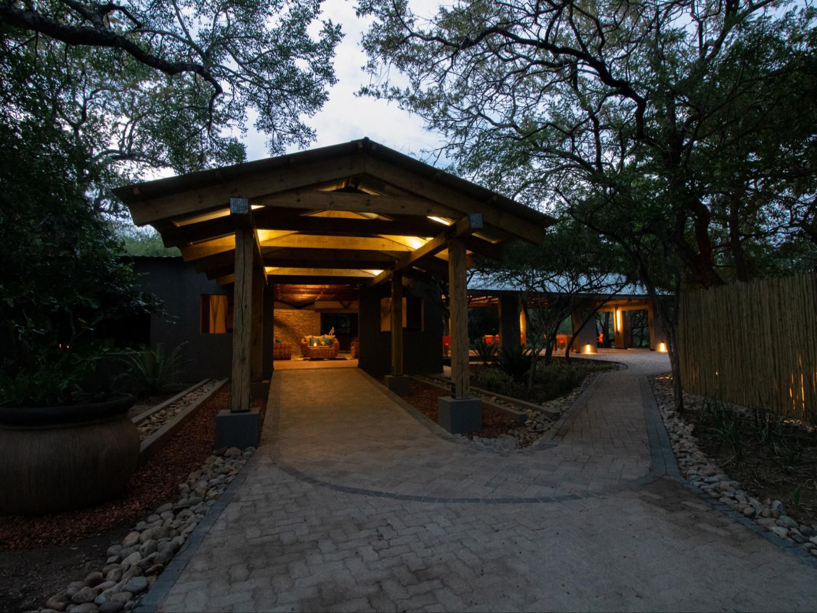 Little Africa Safari Lodge Moditlo Private Game Reserve Limpopo Province South Africa 