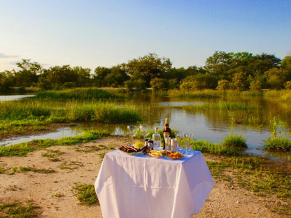 Little Africa Safari Lodge Moditlo Private Game Reserve Limpopo Province South Africa Complementary Colors, Place Cover, Food