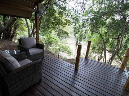 Little Africa Safari Lodge Moditlo Private Game Reserve Limpopo Province South Africa 