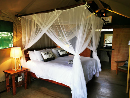 Little Africa Safari Lodge Moditlo Private Game Reserve Limpopo Province South Africa Tent, Architecture, Bedroom