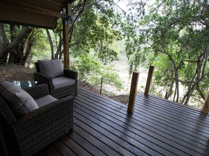 Little Africa Safari Lodge Moditlo Private Game Reserve Limpopo Province South Africa 