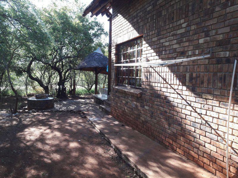 Little Bush Baby Marloth Park Mpumalanga South Africa Unsaturated, Brick Texture, Texture