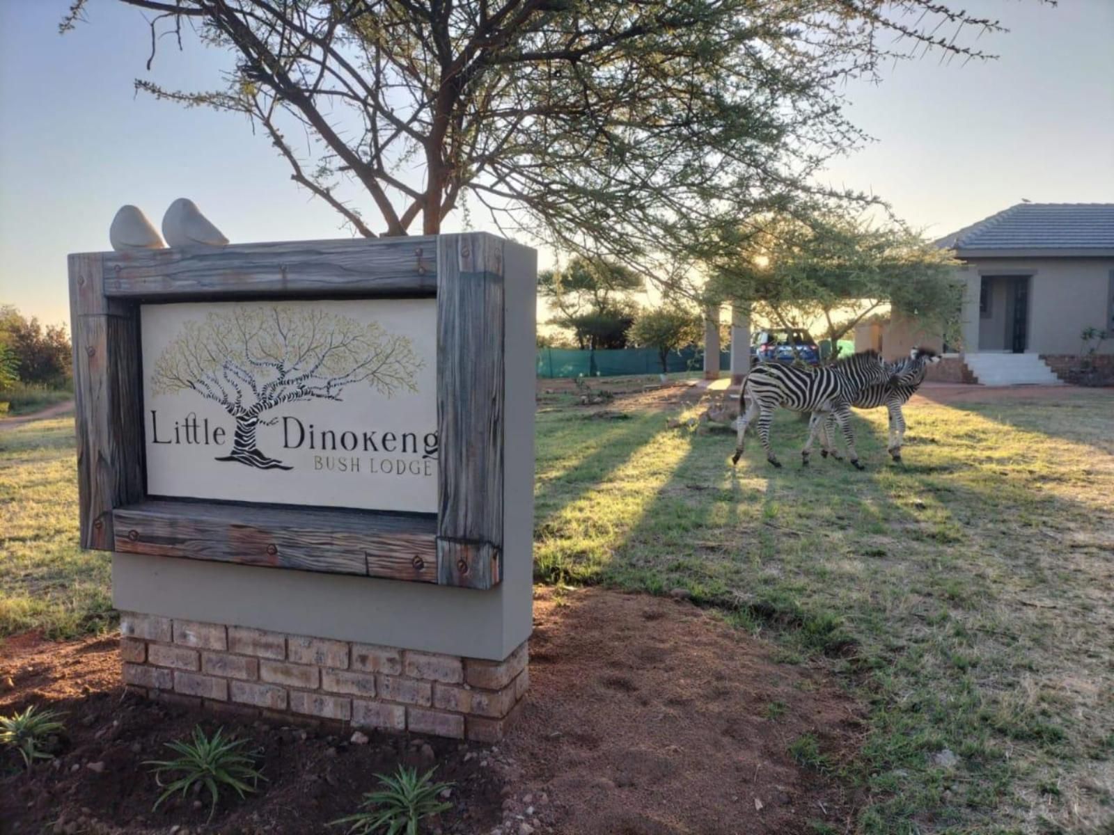 Little Dinokeng Bush Lodge, Desert, Nature, Sand